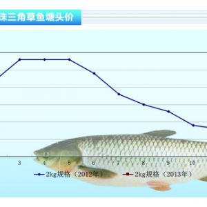 ���~���~�r�µ� �����y�ϡ���ˮ�a(ch��n)ǰ�ء�2013��3�¿��Ј�څ��