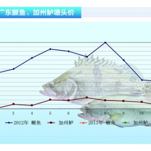 �Z�~�r��S�� �����|�~�r���ԡ���ˮ�aǰ�ء�2013��3�¿��Ј�څ��