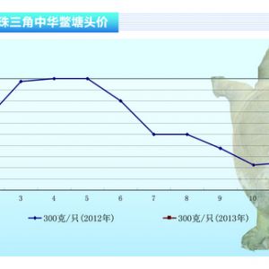 ���~���������N���� �r�񷀶�����ˮ�aǰ�ء�2013��3�¿��Ј�څ��