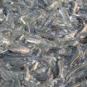 �~�v���O ���혵����~��ُ�rÿ�r����