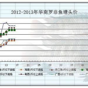 2013��3��11-15���_���~�r(ji��)�������܈�(b��o)