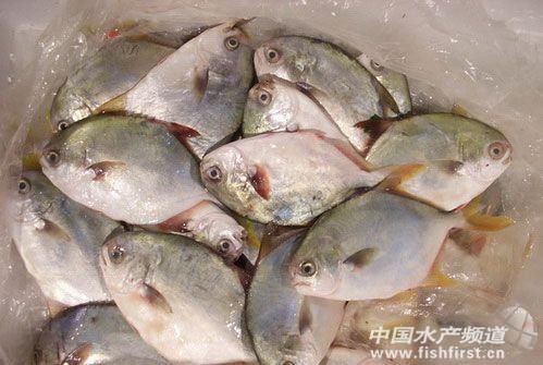 2013����K�Bֳ����p3-4��