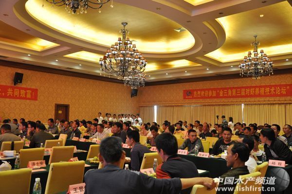 �����ǌ��rՓ�������r�Bֳ�������ν�����