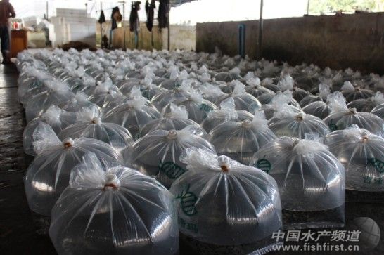 �A���_���~��I�^�죺��һ�����������R