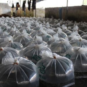 �A���_���~��I(y��)�^�죺��һ�����������R