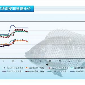 2013��3��25-29���_���~�r(ji��)�������܈�(b��o)