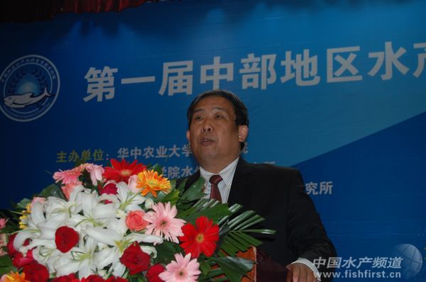 ꐲ��������������������_�x��