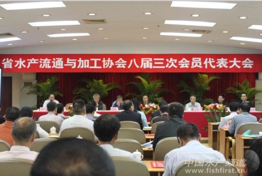 �V�|���Ӆf�����_�ˌ����Ε��T�������