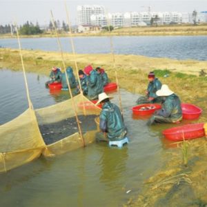 �~���������ƏV�c��(y��ng)��ע�����