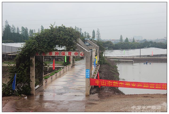 ��ɽ���~��N�a�I����Ҏ��