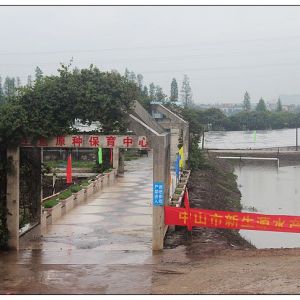 ��ɽ���~(y��)��N�a(ch��n)�I(y��)����Ҏ(gu��)��