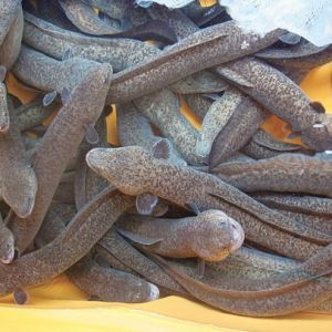 ������2013���Ј�����ƽ����B