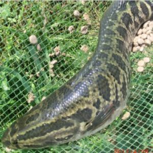 ���~���r����ԣ��Bֳ���A���p��