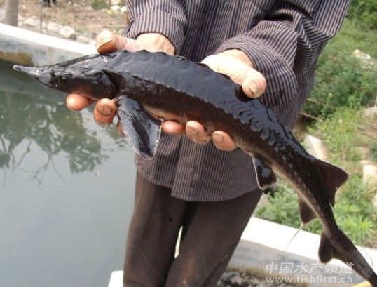 �����\�~����������������N�����ӏ�