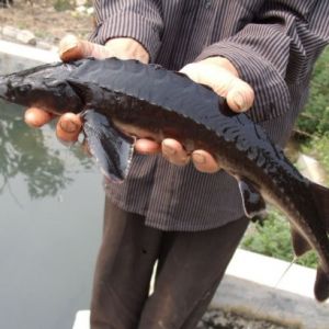 �����\�~����������������N�����ӏ�