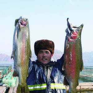 �D��ˮ�a���ຣʡ�q�V�~�a�I����