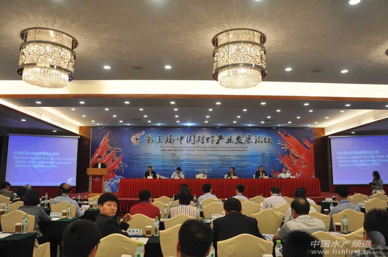 �Y��������Ց���λ���r�����B��