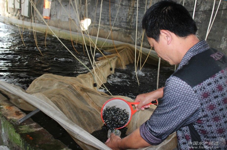 ����׃���� �_���~���N�۸߷啺δ��