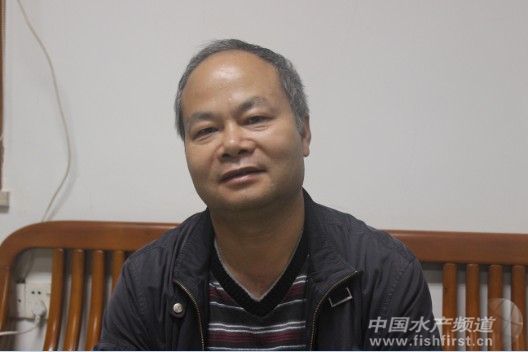 �~�l���_�lȫ���S��~��Ʒ�N�Ј�