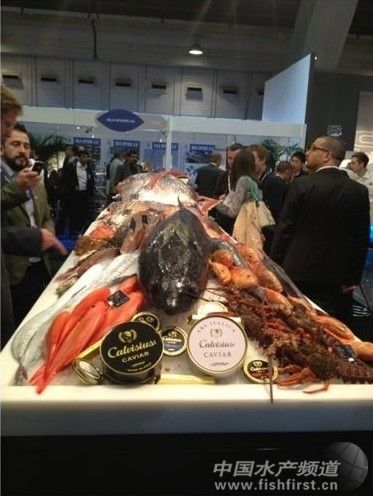 ȫ������rչ���������_Ļ