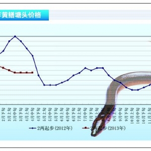 �S�X���������S�X�����嵭 �����Е��������� ����֔�����^����ˮ�aǰ�ء�2013��5�¿��� ...