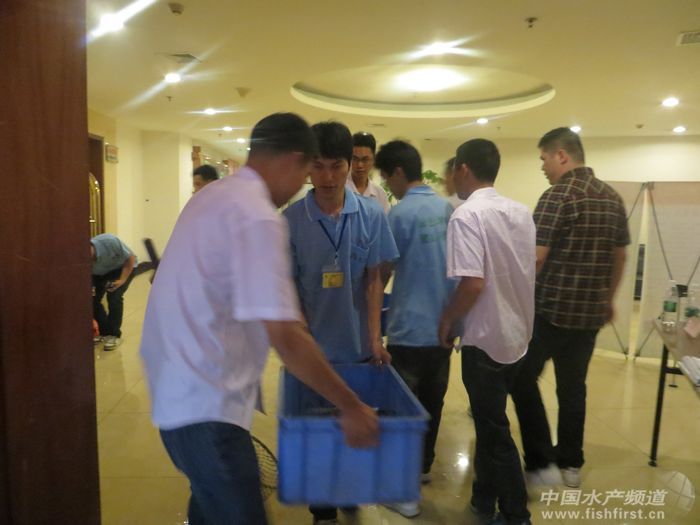 ���T���A�׌����~������ِ11.4�����~�ɡ�������