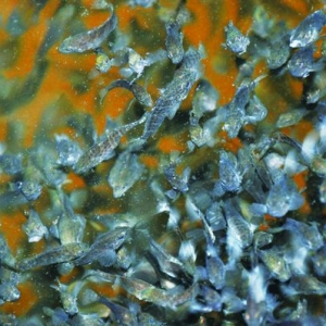 �r(ji��)����P �_(t��i)��ʯ������Σ���Ќ��C(j��)