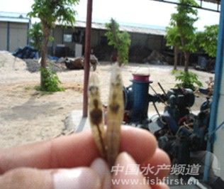 ه�����Fꠣ�EMS�l�����c������