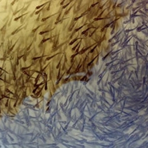 �����Ӱ� �������Z�~��o���y��