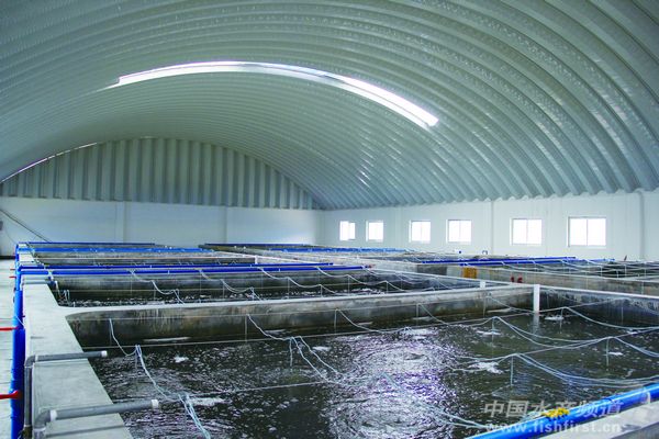 2013�A���r��I�^�죨�£�