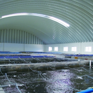 2013�A���r��I�^�죨�£�