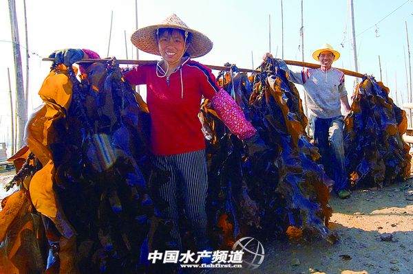 ϼ��-�Ї�����֮�l