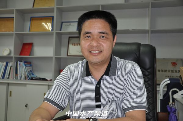 ���܊�h��������r������������