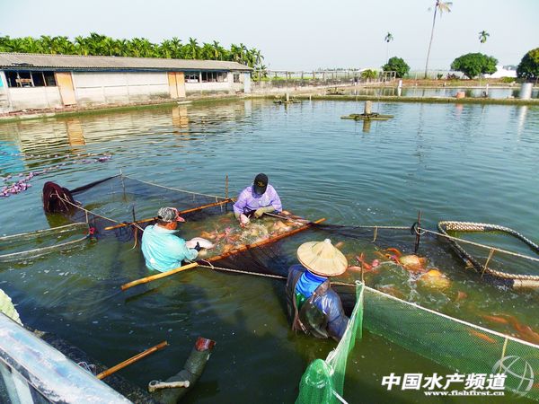 �B�~���磺Դ�����_���ļt���_�~