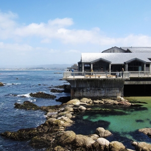 SFP�n������Մ���Hˮ�a(ch��n)Ʒ�u���c�J�C