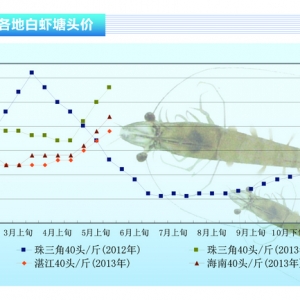 ���r���r�r�m�� ���л���څ�ݡ���ˮ�aǰ�ء�2013��6�¿��Ј�څ��