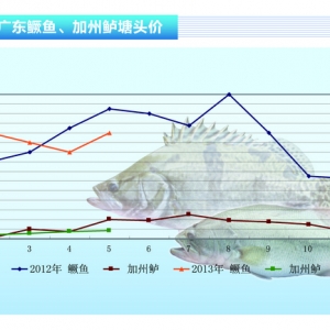 �����|�����ڃr�񿴝q����ˮ�aǰ�ء�2013��6�¿��Ј�څ��