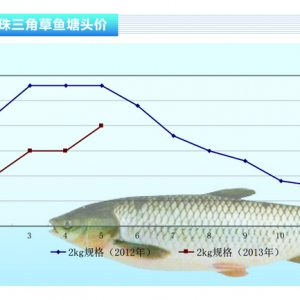 ���~�����п��q����ˮ�a(ch��n)ǰ�ء�2013��6�¿��Ј�څ��