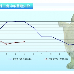 ���~��5��������Ȼ�������ԡ���ˮ�aǰ�ء�2013��6�¿��Ј�څ��