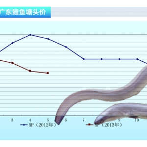 ���~���������鲻̫���^����ˮ�aǰ�ء�2013��6�¿��Ј�څ��