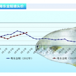 ���K���V�������|�������p��