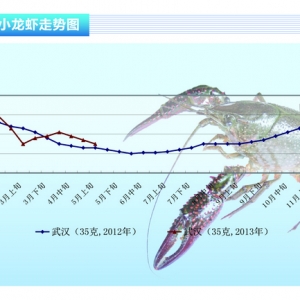 С���r���N�����Ӄr�񿴵�����ˮ�aǰ�ء�2013��6�¿��Ј�څ��