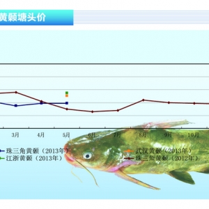 �S��~�r������ƽ������ˮ�aǰ�ء�2013��6�¿��Ј�څ��