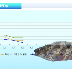 ʯ���~�r�������ϝq�����w���m���ԡ���ˮ�aǰ�ء�2013��6�¿��Ј�څ��