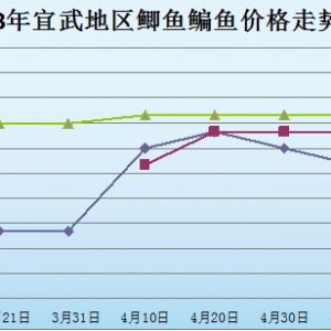 2013������؅^�a�~�r����r