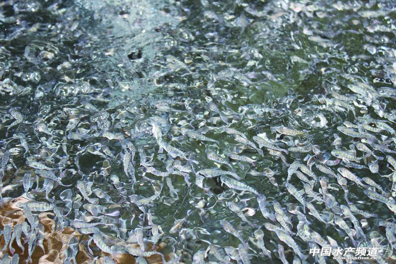 �����_���~��I����߳�����