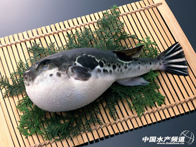 2013ȫ�������Bֳ�s4.4�f�� �V�|�����p�a