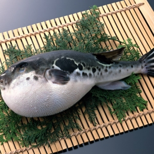 2013ȫ�������B(y��ng)ֳ�s4.4�f�� �V�|�����p�a(ch��n)