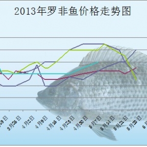 5��18-24���_���~�r����r