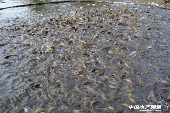 �B�Ƹ��M�����q�����M�뵭�� �r���͵�